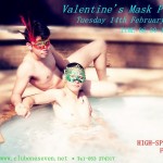 Valentines Mask Party