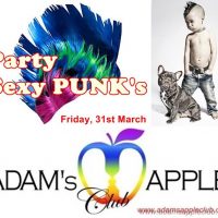 sexy gay punks party adams apple club chiangmai