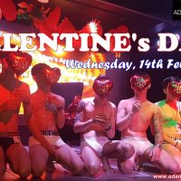 gay valentine party at adams apple club chiang mai